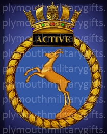 HMS Active Magnet